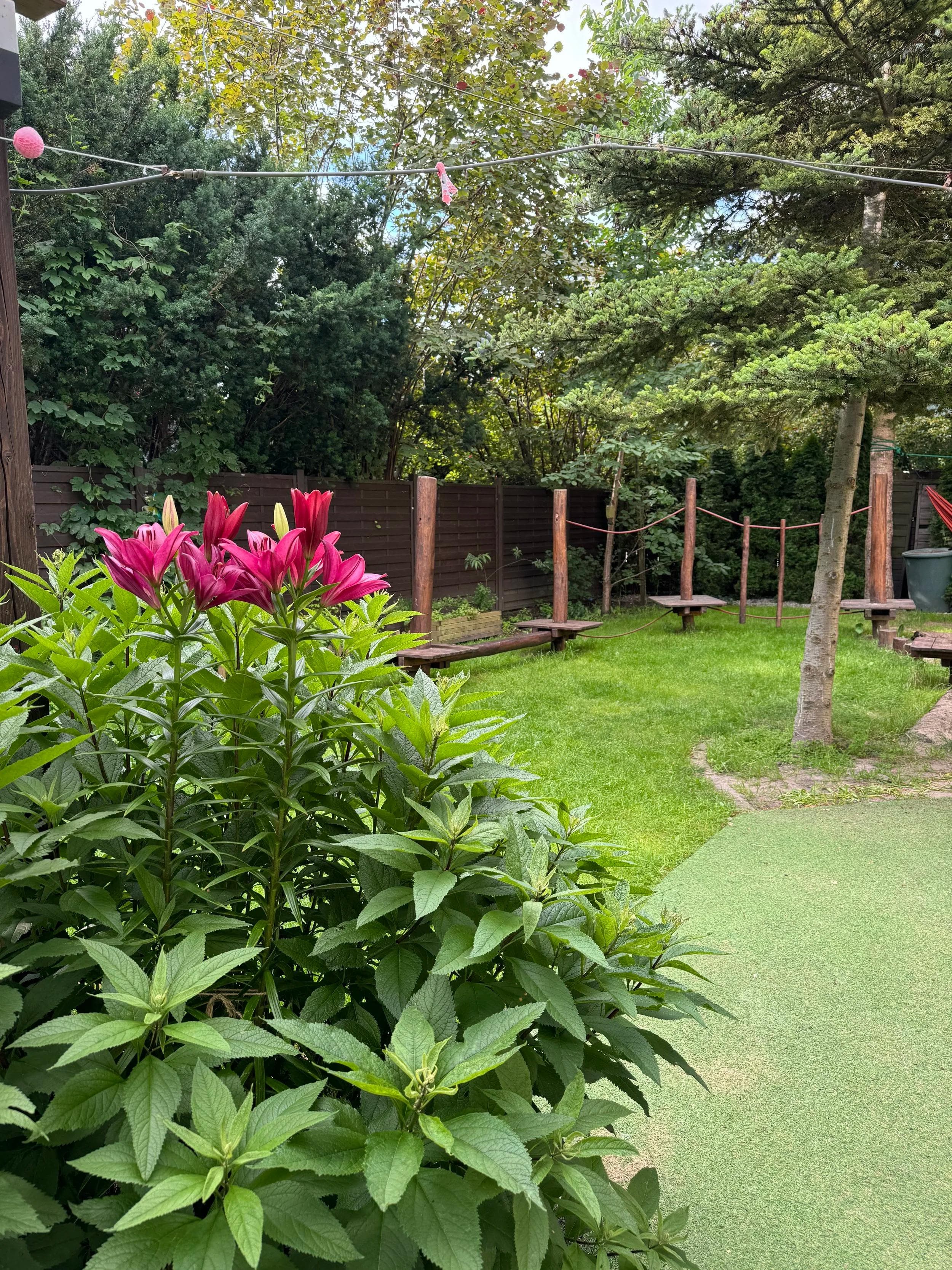 Ogród z kwiatami i placem zabaw w żłobku na Bemowie