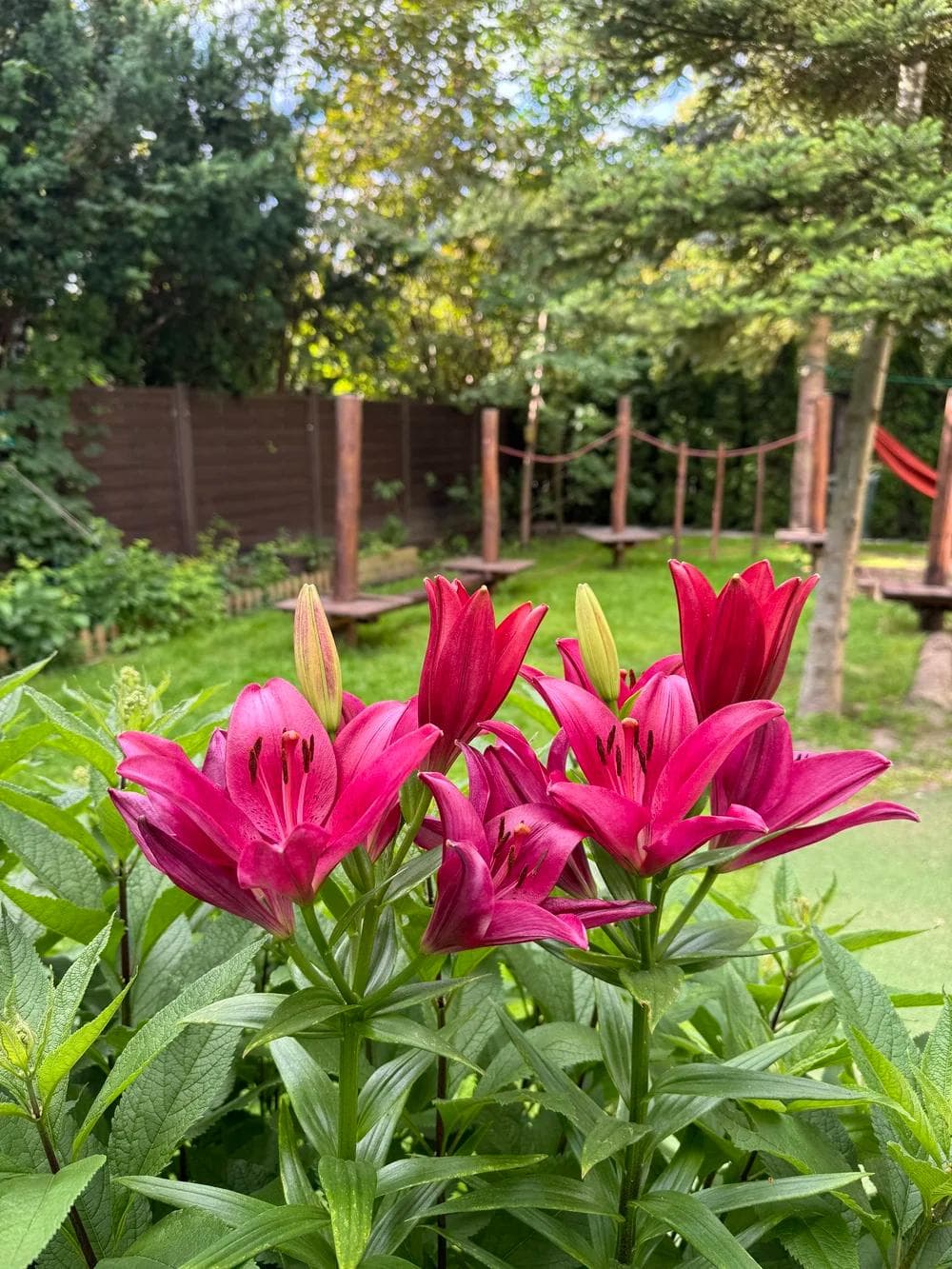 Ogród z kwiatami i drewnianym placem zabaw w żłobku na Bemowie